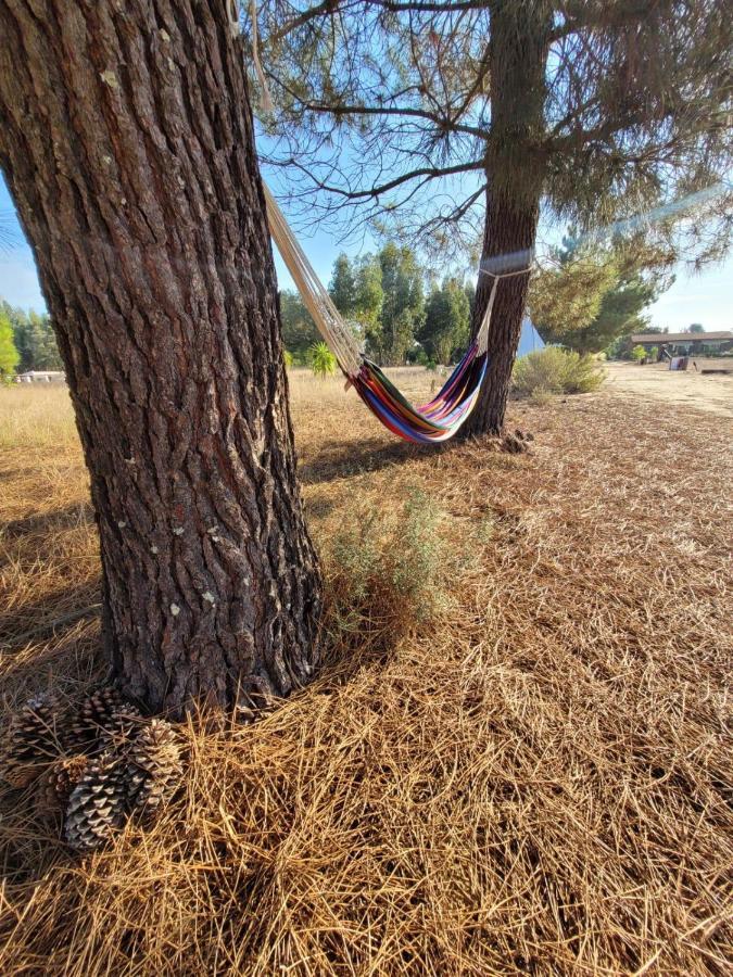 Goodmuda Tipi'S Hotell Grândola Eksteriør bilde